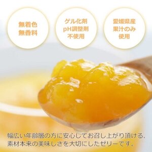 ゲル化剤・pH調整剤不使用!愛媛限定栽培品種 甘平(かんぺい)寒天ゼリー 12本【D25-226】【1629412】
