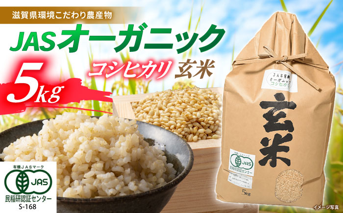 
            【令和6年産】滋賀県産 JASオーガニック コシヒカリ 玄米 5kg　滋賀県長浜市/有限会社もりかわ農場 [AQBL010] 米 お米 玄米  5kg  米 お米 ご飯 ごはん ゴハン
          