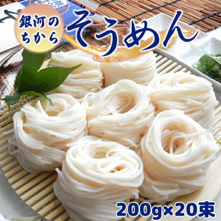 【ふるさと納税】「銀河のちから」そうめん 200g×20束 ギフト 岩手県 花巻市 JA いわて