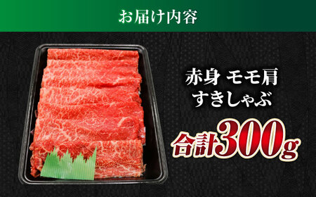 飛騨牛赤身(ﾓﾓ/ｶﾀ) 300g 飛騨牛 赤身[ANBO006]