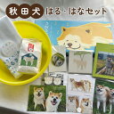 【ふるさと納税】ふるさわおんせんオリジナル秋田犬はる・はなセット 10種【グッズ 詰め合わせ セット 秋田犬 桶 タオル 米 お米 ショコラ サブレ 枝豆 おやつ おつまみ キーホルダー ポストカード 缶バッジ コースター 日用品 雑貨 贈り物 東北 秋田】【175P7801】