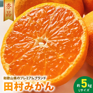 【2026年先行予約】プレミアムブランド 田村みかん Lサイズ 秀品  約5kg 和歌山県産 蜜柑 ミカン フルーツ 果物 ギフト お歳暮 完熟_AB7305