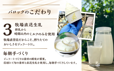 牧場の搾りたて生乳使用 てづくりジェラート 訳あり おまかせセット 24個 ジェラート