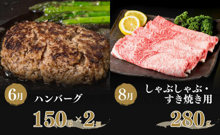 【ふるなび限定】偶数月が楽しみになる！ 佐賀牛定期便 第2弾 バラエティ定期便【有田まちづくり公社】牛肉 全6回 計1.7kg 定期便 肉 黒毛和牛 ロース サーロイン しゃぶしゃぶ 焼肉 ステーキ 