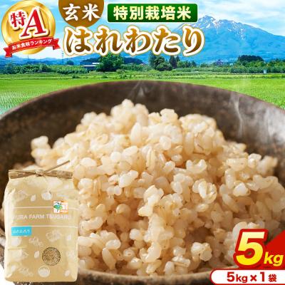 ふるさと納税 弘前市 米【特別栽培米】はれわたり 玄米 5kg(5kg×1袋)R7年産 特A|24_mft-080501