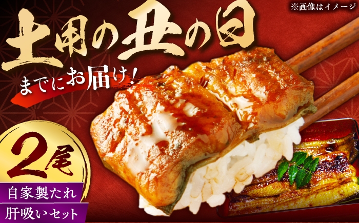 
                   国産うなぎ蒲焼き2尾【丑の日発送】（肝吸い付き）国産 うなぎ 鰻 ウナギ 蒲焼 うなぎ 蒲焼き 肉厚 うなぎ うなぎ ウナギ 鰻 冷凍 特大 希少 鰻 うなぎ ウナギ 鰻 人気 ウナギ うなぎ おすすめ ランキング うなぎ おいしい unagi うなぎ かばやき 高級 特別 贅沢 うなぎ ウナギ 鰻 ひつまぶし うなぎ ウナギ 夏 鰻 [QCC004]
                