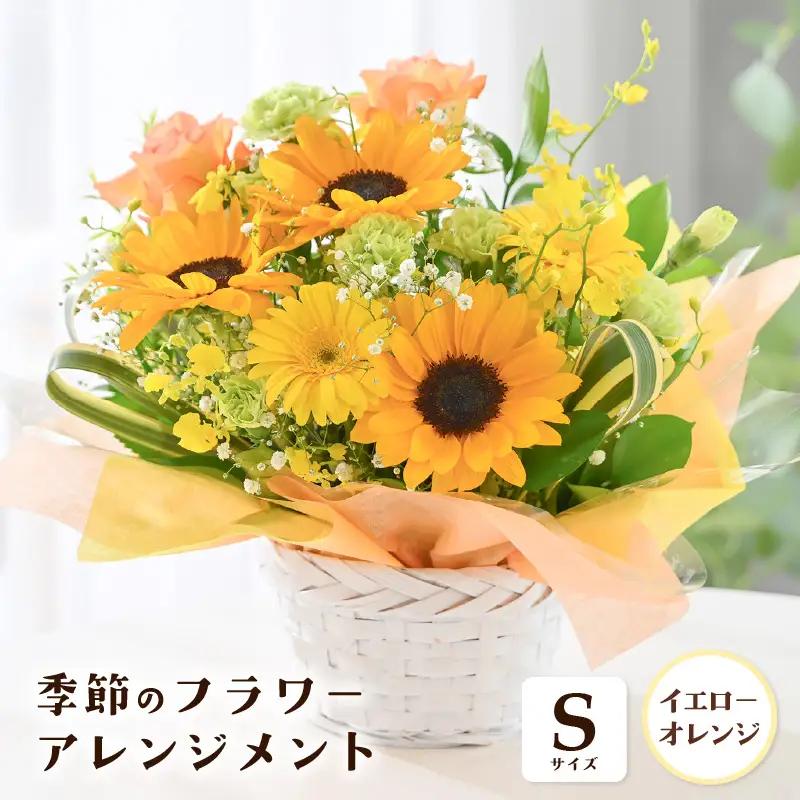 季節のフラワーアレンジメント S (イエロー・オレンジ) 花束 生花 プレゼント [A-20711_02]
