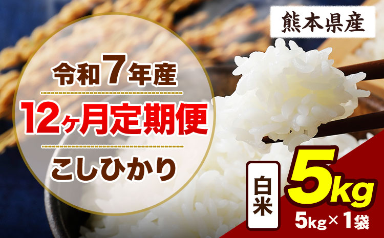 【12ヶ月定期便】令和7年産 定期便 こしひかり  5kg 白米 阿蘇 うぶやま 米 定期便 熊本県産 ふるさと納税 精米 ひの 米 こめ ふるさとのうぜい コシヒカリ コメ お米 おこめ《お申込み翌月から出荷》---ubuyama_lcl_986_mo12---
