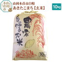 【ふるさと納税】米 10kg 玄米 秋田県産 あきたこまち 令和6年産 自慢のお米 10kg