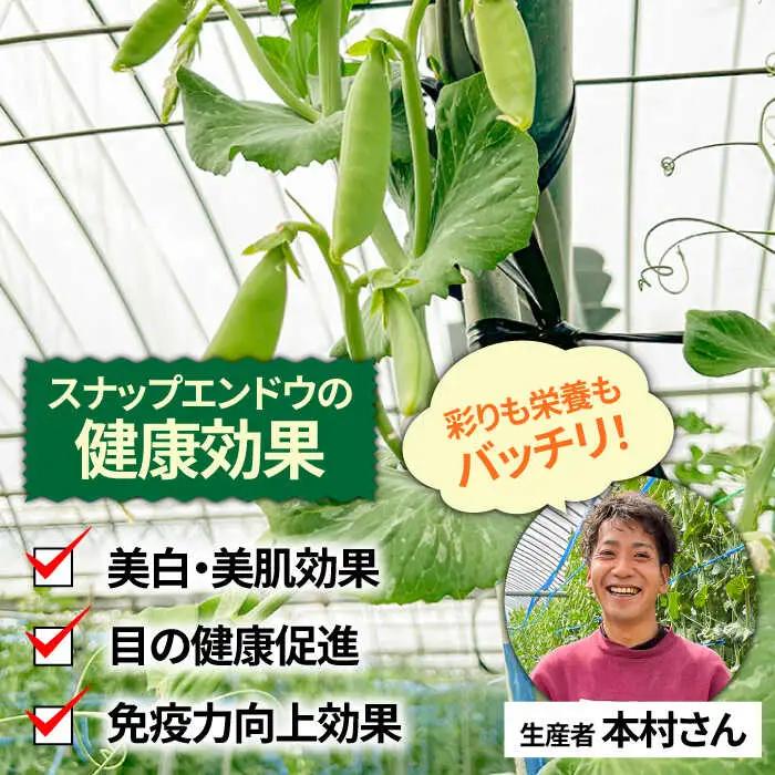 【2027年1月-発送】スナップエンドウ　サイズ違い　食べ比べセット　100g × 5袋 / 小分け / 南島原市 [SFL001]
