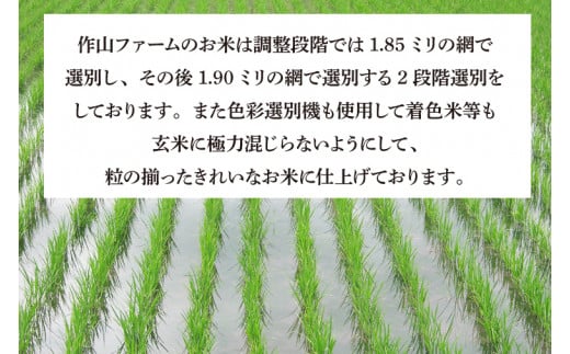 ＼新米 先行予約 令和7年産／ 完熟あさ陽米 (玄米) 20kg (5kg×4) ひとめぼれ 特別栽培米 生産農家直送 (CP033)