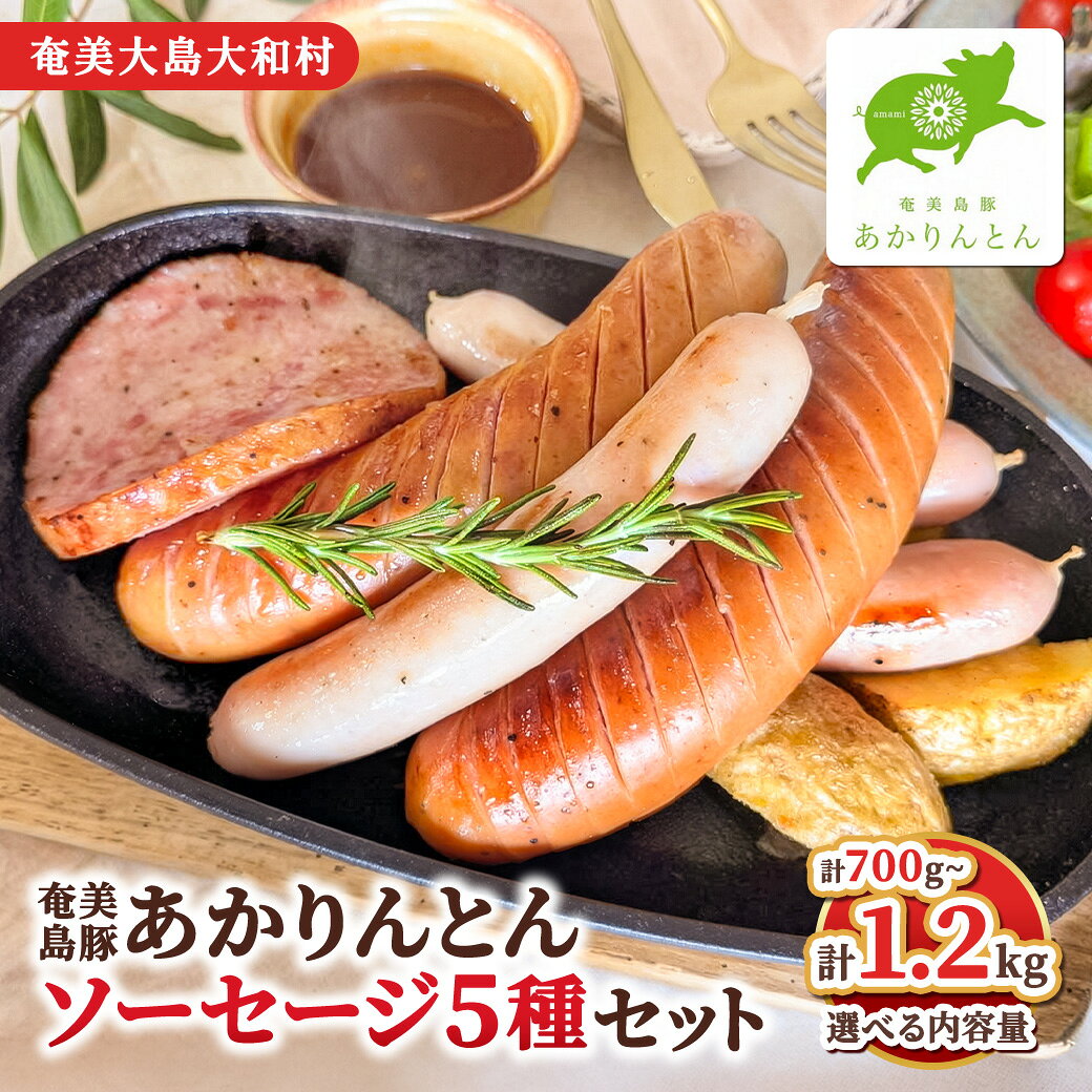 【ふるさと納税】 ソーセージ ブランド 島豚 詰め合わせ あかりんとん ハム ソーセージ 5種 セット 選べる内容量 豚肉 加工品 食べ比べ 豚 鹿児島県 奄美大島 大和村 株式会社 カイセイ
