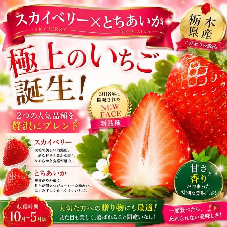 【先行予約】赤い宝石「とちあいか」「スカイベリー」食べ比べ 約540ｇ【栃木県共通返礼品】