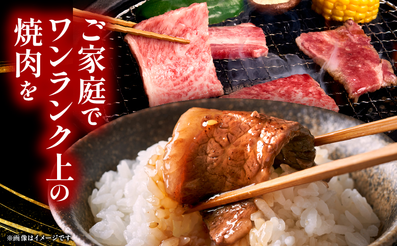 宮崎県産黒毛和牛(経産)6種焼肉セット 600g