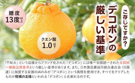 デコポン 約2kg 日本フルーツ株式会社 熊本県 荒尾市 《1月下旬-2月末頃出荷予定》 デコポン 果物 秀品 フルーツ スイーツ デザート ギフト ご贈答