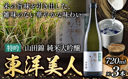 日本酒 新酒 東洋美人 特吟 山田錦 純米大吟醸 3本 計2160ml 1本あたり 720ml 福岡吟醸倶楽部株式会社《90日以内に発送予定(土日祝除く)》福岡県 鞍手郡 鞍手町 酒 熱燗 送料無料