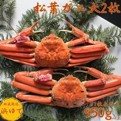 ふるさと納税 湯梨浜町 ■浜下商店■松葉ガニ大2枚〔浜ゆで〕(41K.)