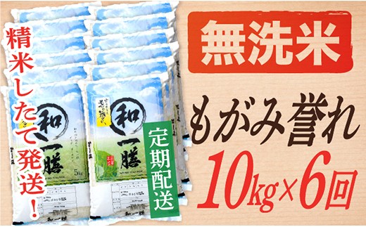 【定期便】【無洗米】 令和8年産予約 もがみ誉れ 10kg (5kg×2)  6回配送　【初回R9年1月発送】