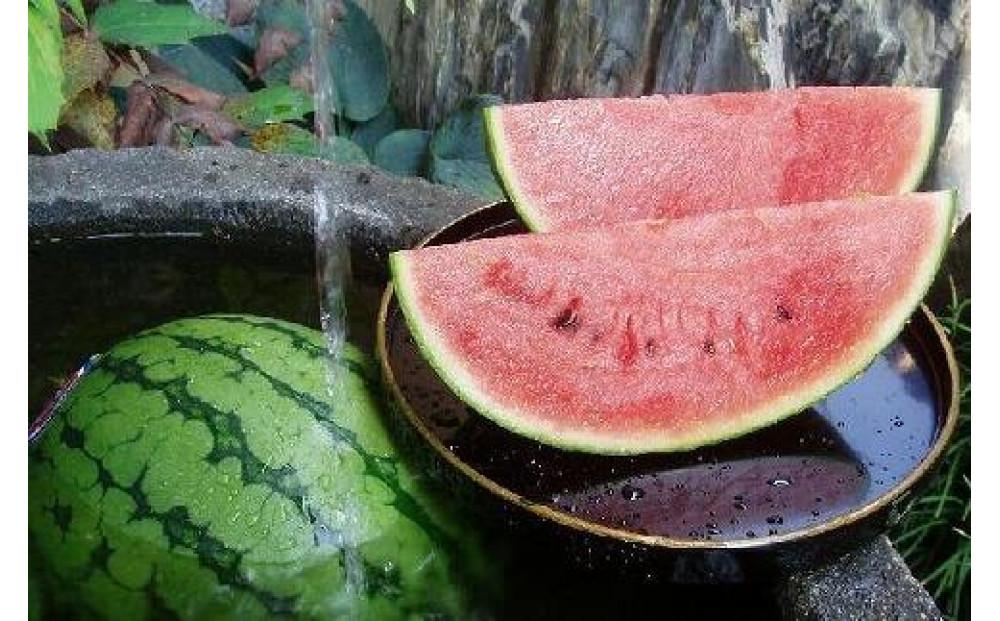 【令和8年産 先行予約】小玉スイカ 2玉 127524-158