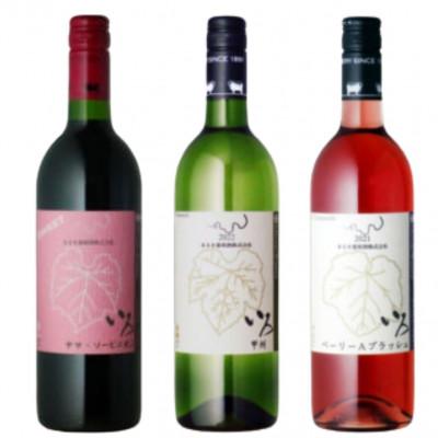 ふるさと納税 甲州市 まるき【いろシリーズ】計3本いろヤマ・ソービニオン いろ甲州 いろベーリーAブラッシュ C-1665