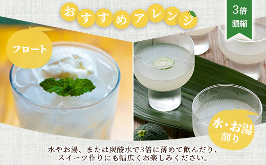 手しぼり木頭ゆず使用 木頭ゆず すっぱ果汁 120ml 6本【徳島県 那賀町 木頭 ゆず 柚子 ユズ 木頭柚子 木頭ゆず ゆず果汁 果汁 ジュース 飲料 果汁飲料 かき氷 シャーベット シロップ 水割