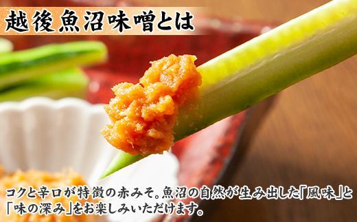 ES82 新潟県 南魚沼産 越後魚沼味噌 大容量 業務用 5kg 箱 魚沼 みそ 発酵食品 味噌汁 国産 原料 備蓄 長期保存 木津醸造所