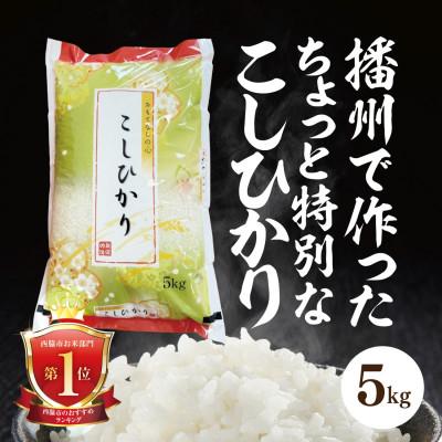 ふるさと納税 西脇市 兵庫県産【コシヒカリ】令和7年産・白米 5kg (5kg×1袋)