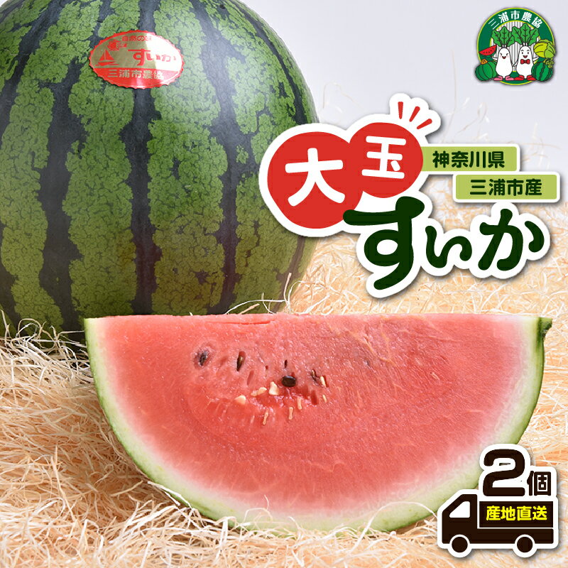 【ふるさと納税】【先行予約】 神奈川県 三浦市産 大玉すいか 2個 すいか スイカ 西瓜 大玉 果物 フルーツ 三浦市農業協同組合 神奈川県 三浦市 おすすめ ランキング プレゼント ギフト
