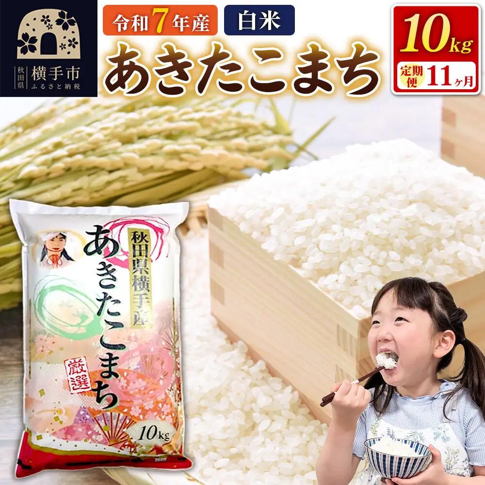 令和7年産【白米】《定期便11ヶ月》あきたこまち 10kg（10kg×1袋） 秋田県 横手市