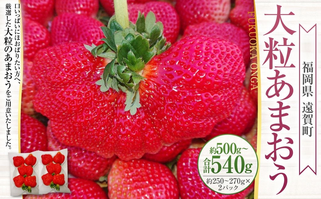 
            大粒あまおう 約250～270g × 2パック （合計 ： 約500～540g） 【2026年2月上旬～4月上旬発送予定】 あまおう いちご イチゴ 苺 果物 くだもの フルーツ 福岡県産 国産 福岡県 遠賀町 冷蔵
          