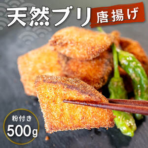 ブリ唐揚げ 500g ／  冷凍 使いやすい 時短 簡単 便利 惣菜 鰤 ブリ 人気 魚 魚介 海産物 海鮮 唐揚げ フライ 揚げ物 フライ弁当 弁当 ご飯 白米 に合う 三重県産 5000円 5千円 五千円
