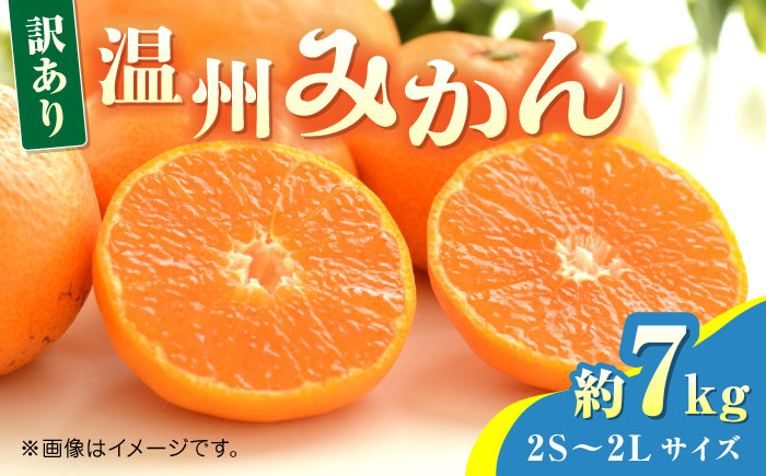 【先行予約】温州みかん約7kg　2S～2Lサイズ　【くまふる】 [ZBG050]