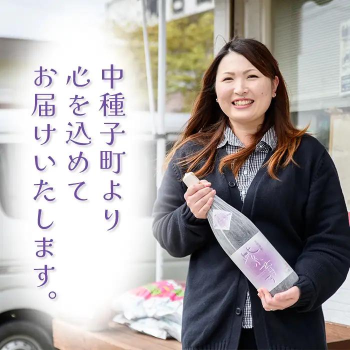 焼酎 グラス付きギフトセットS「島乃泉(900ml)・グラス(2個)」 鹿児島 種子島 芋 お酒 ギフト 四元酒造 【アイショップ西水店】n226-3