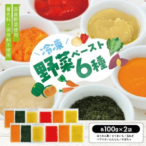 1185AL1200G　冷凍野菜ペーストアラカルト1.2kg(100g6種×各2袋)