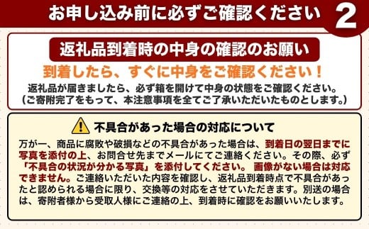 【先行予約・2月～3月にお届け】 季節の野菜 詰め合わせセット (野菜6～8品目) 夢叶野菜ボックス | 新鮮 産地直送 旬 国産 葉物 根菜 おすすめ 人気 野菜詰め合わせ 野菜セット 春野菜 夏野
