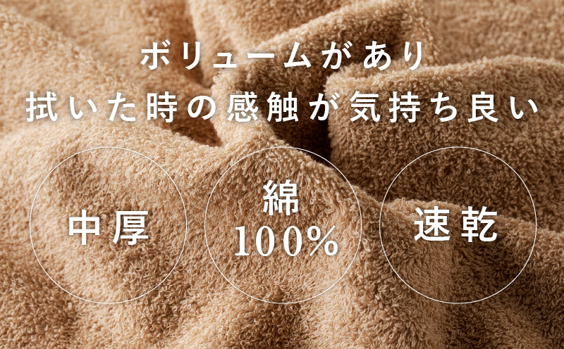 コンパクトバスタオル 6枚 カプチーノ【速乾 中厚 ロングヘア—にも最適 泉州タオル 国内製造 国産 吸水 普段使い シンプル 日用品 家族 ファミリー】 010B961