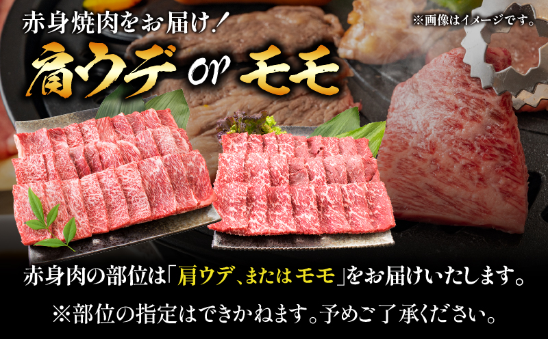 【1月配送】厳選 宮崎牛 赤身 焼肉 計1.6kg 牛肉 国産 焼き肉 BBQ 鉄板焼き バーベキュー 黒毛和牛 肩ウデ モモ 4等級以上 ギフト 贈答 小分け 食品 選べる ミヤチク 宮崎県 日南市
