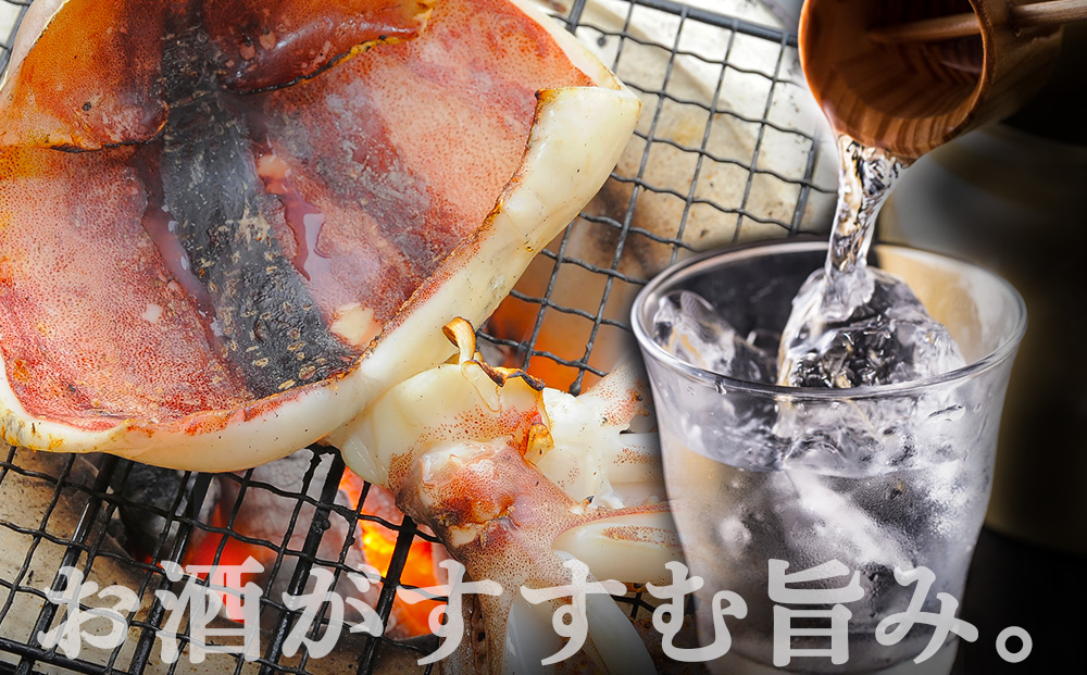 ☆毎月届く☆真いかの一夜干し定期便 全３回＜秋元水産＞【定期便・頒布会特集】