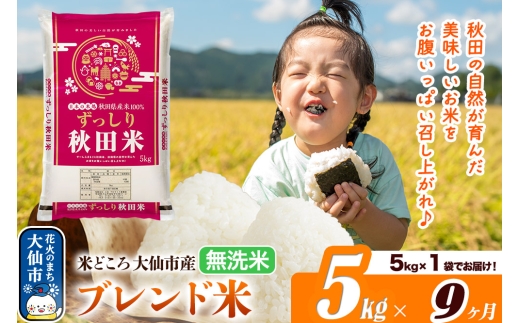 米《定期便9ヶ月》米どころ 秋田県大仙市産 ブレンド米【無洗米】5kg（5kg×1袋） [米 お米 こめ 白米 無洗米 ブレンド米 小分け ご飯 ごはん 米どころ 秋田県産 大仙市]