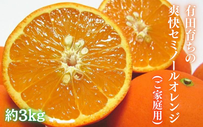 
【2025年4月発送】有田育ちの爽快セミノールオレンジ(ご家庭用)　約3kg / 有田みかん みかん 柑橘 くだもの 果物 フルーツ オレンジ セミノール 和歌山【ard024A】
