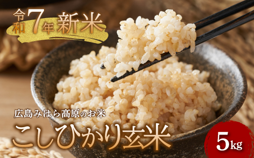 【先行受付】令和7年新米 コシヒカリ 玄米5kg 2025年9月頃～発送 お米 米 玄米 ごはん ご飯 広島県 三原市 220003