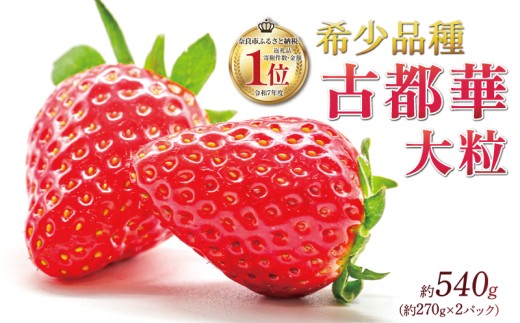 いちご ことか 約270g×2パック 先行予約 2027年発送 古都華 大粒 数量限定 産地直送 春 旬 国産 冷蔵 イチゴ 苺 itigo ichigo strawberry ストロベリー フルーツ 果物 くだもの 小分け ブランドいちご ふるさと納税いちご ふるさと納税イチゴ 奈良いちご 甘い 人気 おすすめ 贈答 プレゼント ギフト お歳暮 奈良県 奈良市 奈良 いちご農家だるま