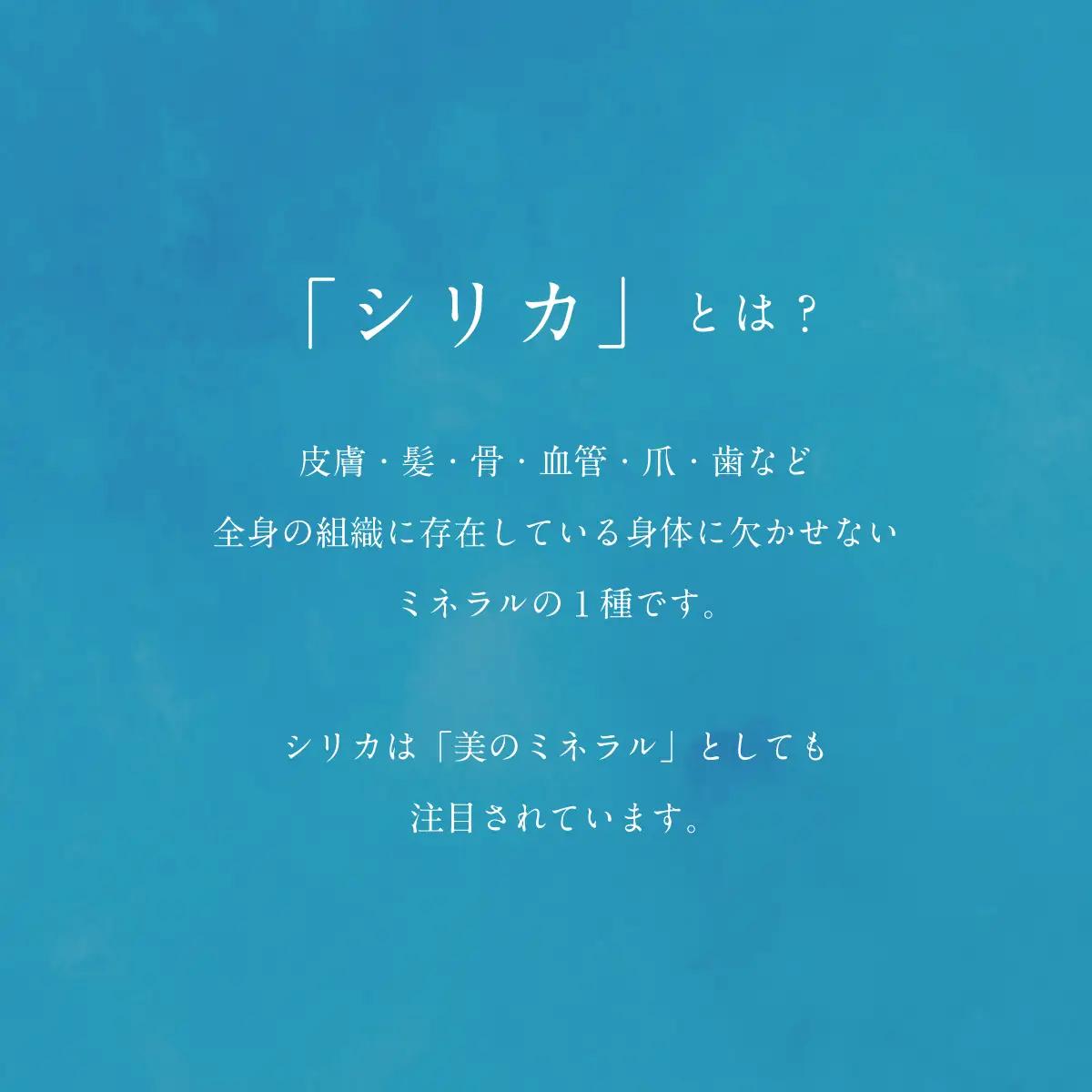 ＜定期便　Gaivota2箱（500ml×24本＋2L×6本）×６回分＞北のハイグレード食品 天然シリカ水 シリカ水 ミネラルウォーター シリカウォーター 軟水  北海道 乙部町 天然水 美容 ケイ素