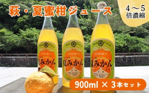 萩名産夏蜜柑／萩・夏蜜柑ジュース　4倍濃縮・3本セット　｜HG000606