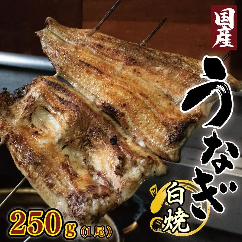 うなぎ 鰻 国産 250g 1尾 うなぎ白焼 タレ付き 鰻