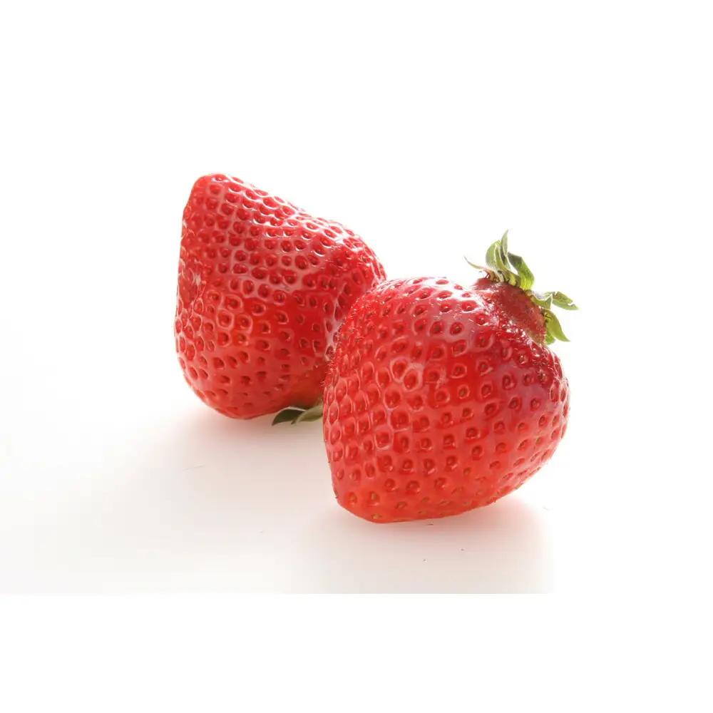 ＜2026年3月～4月発送＞博多あまおう約250ｇ×６