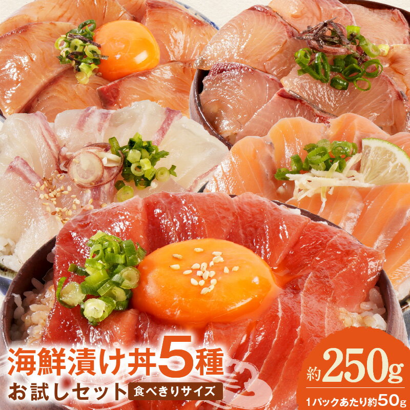 【ふるさと納税】海鮮漬け丼 5種 お試し セット 請関水産 漬け丼 海鮮丼 冷凍 流水解凍 時短 料理 冷凍ストック ストック 簡単 プチ贅沢 ご飯 魚介 食品 加工品 魚 魚加工品 お取り寄せ お取り寄せグルメ 送料無料 宮崎県 延岡市