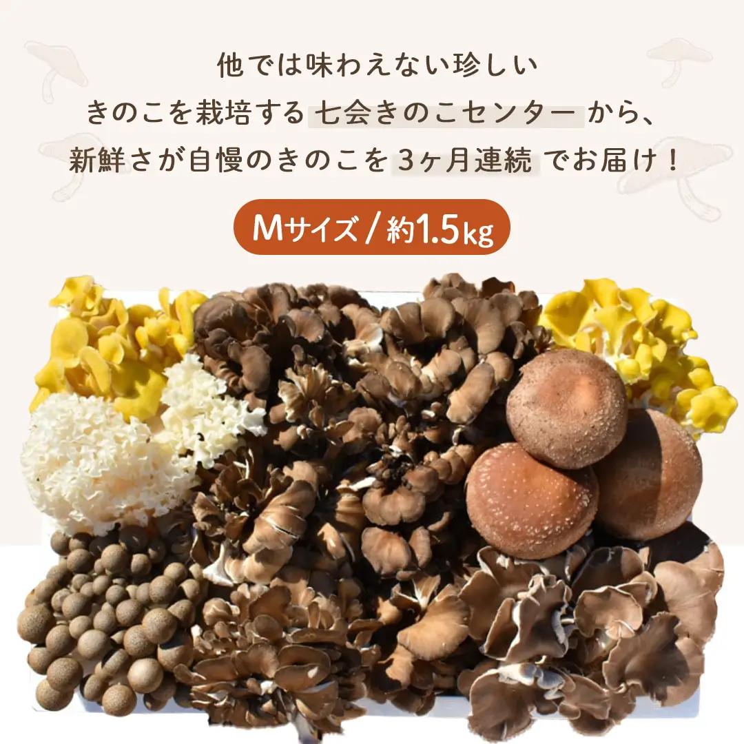 《 ３ヶ月 連続定期便 》 きのこ の 詰め合わせ Mサイズ 約1.5kg （茨城県共通返礼品 城里町） 定期便 キノコ 舞茸 あわび茸 たもぎ茸 しいたけ 花びら茸 セット 鍋 炒め物 [CX006