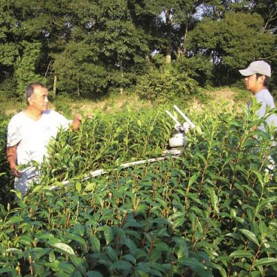 ふるさと納税 森町 静岡(森町産)深蒸し煎茶【やぶ北茶】100g×5袋【森町SF】 |  | 02