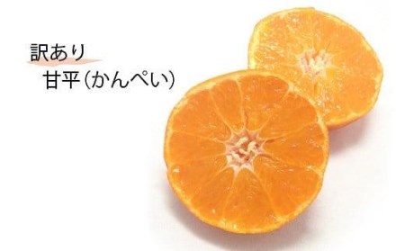 【1月中旬から発送】＜訳あり＞甘平(かんぺい)　約3kg (訳あり みかん 訳あり みかん 柑橘 訳あり みかん 甘平 訳あり みかん かんぺい 訳あり みかん 甘平 訳あり みかん フルーツ 訳あり